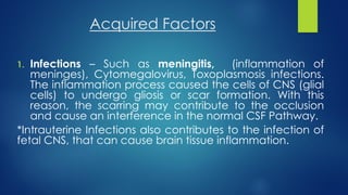 Acquired Factors
1. Infections – Such as meningitis, (inflammation of
meninges), Cytomegalovirus, Toxoplasmosis infections.
The inflammation process caused the cells of CNS (glial
cells) to undergo gliosis or scar formation. With this
reason, the scarring may contribute to the occlusion
and cause an interference in the normal CSF Pathway.
*Intrauterine Infections also contributes to the infection of
fetal CNS, that can cause brain tissue inflammation.
 
