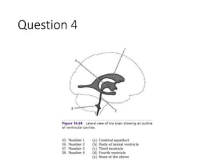 Question 4
 