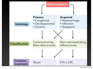 12 Presentation 6 - 20 June 2023
 