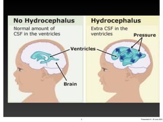 3 Presentation 6 - 20 June 2023
 