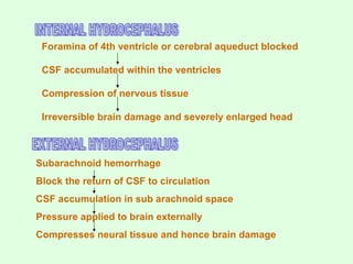 Subarachnoid hemorrhage
Block the return of CSF to circulation
CSF accumulation in sub arachnoid space
Pressure applied to brain externally
Compresses neural tissue and hence brain damage
Foramina of 4th ventricle or cerebral aqueduct blocked
CSF accumulated within the ventricles
Compression of nervous tissue
Irreversible brain damage and severely enlarged head
 