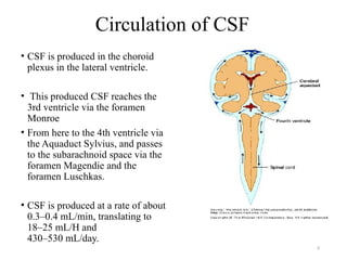 Hydrocephalus in children population.pptx