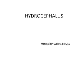 HYDROCEPHALUS
PREPARRED BY LUCIANA CHOMBA
 