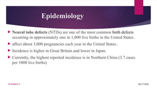 Comprehensive Overview of Hydrocephalus and Neural Tube Defects ...