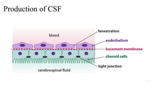 Production of CSF
06-08-2021 16
 