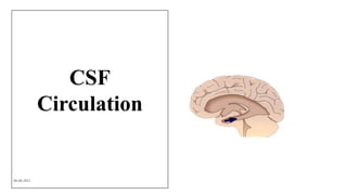 06-08-2021 22
CSF
Circulation
 