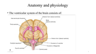 11/06/2024 3
Anatomy and physiology
• The ventricular system of the brain consists of:
• The two lateral ventricles (largest),
• midline 3rd and 4th ventricle.
 