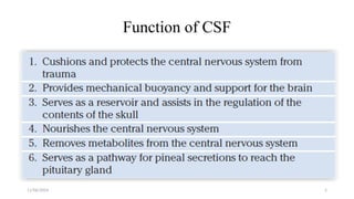 11/06/2024 5
Function of CSF
 