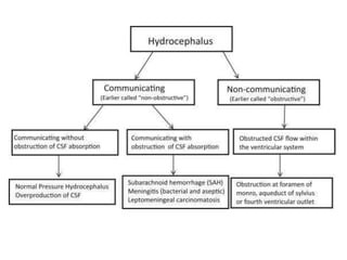 hydrocephalus and csf disorders powerpoint | PPTX
