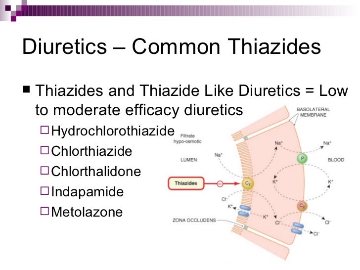 Hydrochlorthiazide Hydrochlorthiazide