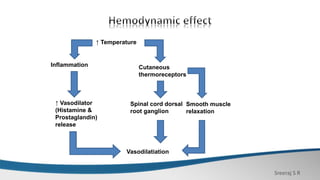 Sreeraj S R
↑ Temperature
Inflammation
↑ Vasodilator
(Histamine &
Prostaglandin)
release
Vasodilatiation
Cutaneous
thermoreceptors
Spinal cord dorsal
root ganglion
Smooth muscle
relaxation
 