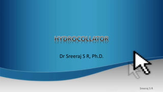 Sreeraj S R
Dr Sreeraj S R, Ph.D.
 