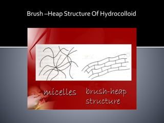 Brush –Heap StructureOf Hydrocolloid
 