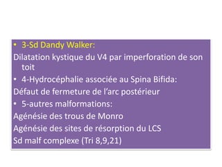 • 3-Sd Dandy Walker:
Dilatation kystique du V4 par imperforation de son
toit
• 4-Hydrocéphalie associée au Spina Bifida:
Défaut de fermeture de l’arc postérieur
• 5-autres malformations:
Agénésie des trous de Monro
Agénésie des sites de résorption du LCS
Sd malf complexe (Tri 8,9,21)
 