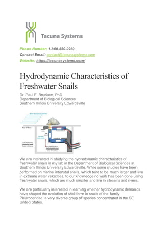 Phone Number: 1-800-550-0280
Contact Email: contact@tacunasystems.com
Website: https://tacunasystems.com/
Hydrodynamic Characteristics of
Freshwater Snails
Dr. Paul E. Brunkow, PhD
Department of Biological Sciences
Southern Illinois University Edwardsville
We are interested in studying the hydrodynamic characteristics of
freshwater snails in my lab in the Department of Biological Sciences at
Southern Illinois University Edwardsville. While some studies have been
performed on marine intertidal snails, which tend to be much larger and live
in extreme water velocities, to our knowledge no work has been done using
freshwater snails, which are much smaller and live in streams and rivers.
We are particularly interested in learning whether hydrodynamic demands
have shaped the evolution of shell form in snails of the family
Pleuroceridae, a very diverse group of species concentrated in the SE
United States.
 