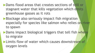Dams flood areas that creates sections of still or
stagnant water that kills vegetation which emits
greenhouse gasses as it rots
Blockage also seriously impact fish migration
especially for species like salmon who relies on river
to spawn
Dams impact biological triggers that tell fish where
to migrate
Limits flow of water which causes downstream of
oxygen levels
 