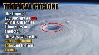 TROPICAL CYCLONETROPICAL CYCLONE
21
PREPARED BY: JOHANES PANGILINAN
 