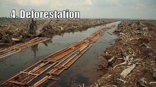 30
PREPARED BY: JOHANES PANGILINAN
 