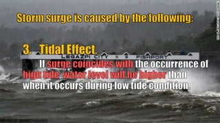 51
PREPARED BY: JOHANES PANGILINAN
 