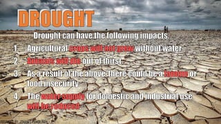 DROUGHT
78
PREPARED BY: JOHANES PANGILINAN
 