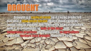 DROUGHT
80
PREPARED BY: JOHANES PANGILINAN
 