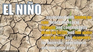 11
P
R
E
P
A
R
E
DB
Y
:J
O
H
A
N
E
SP
A
N
G
I
L
I
N
A
N
 