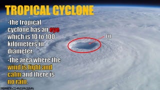 TROPICAL CYCLONE
23
P
R
E
P
A
R
E
DB
Y
:J
O
H
A
N
E
SP
A
N
G
I
L
I
N
A
N
 