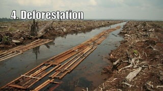 32
P
R
E
P
A
R
E
DB
Y
:J
O
H
A
N
E
SP
A
N
G
I
L
I
N
A
N
 