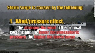 51
P
R
E
P
A
R
E
DB
Y
:J
O
H
A
N
E
SP
A
N
G
I
L
I
N
A
N
 