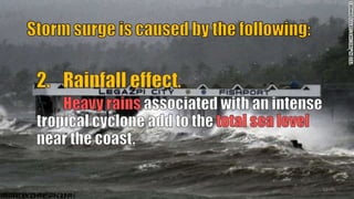 52
P
R
E
P
A
R
E
DB
Y
:J
O
H
A
N
E
SP
A
N
G
I
L
I
N
A
N
 