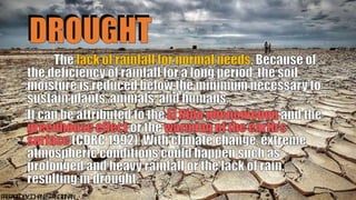 DROUGHT
80
P
R
E
P
A
R
E
DB
Y
:J
O
H
A
N
E
SP
A
N
G
I
L
I
N
A
N
 