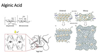 Alginic Acid
‘egg-box’
Ordered Messy
 