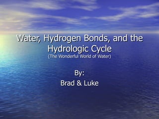 Water, Hydrogen Bonds, and the Hydrologic Cycle (The Wonderful World of Water) By: Brad & Luke 