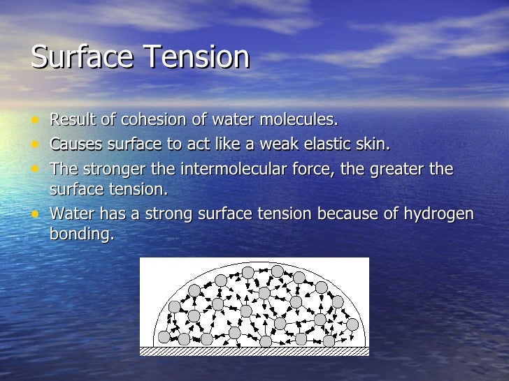 Water, Hydrogen Bonds, and the Hydrologic Cycle