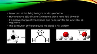 • Major part of the living beings is made up of water
• Humans have 65% of water while some plants have 95% of water
• It is a solvent of great importance and necessary for the survival of all
organisms
• The distribution of water around the globe is not uniform
 