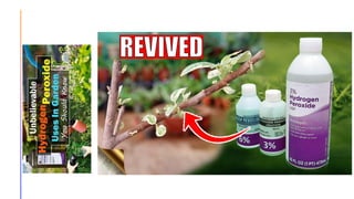 Hydrogen peroxide Project