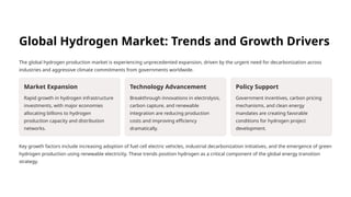 Hydrogen Production Plant Project Report and Cost Analysis | PPTX