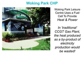 Hydrogen And Fuel Cell Technology For A Sustainable Future | PPTX