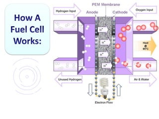Hydrogen And Fuel Cell Technology For A Sustainable Future | PPTX