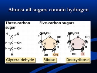 Almost all sugars contain hydrogenAlmost all sugars contain hydrogen
 