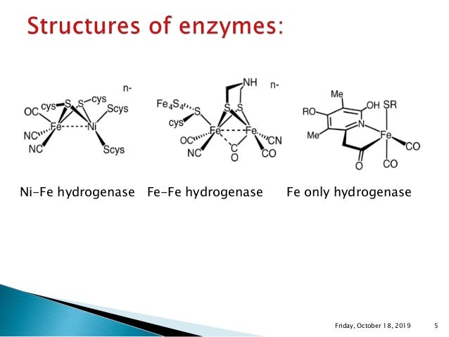 Hydrogenases