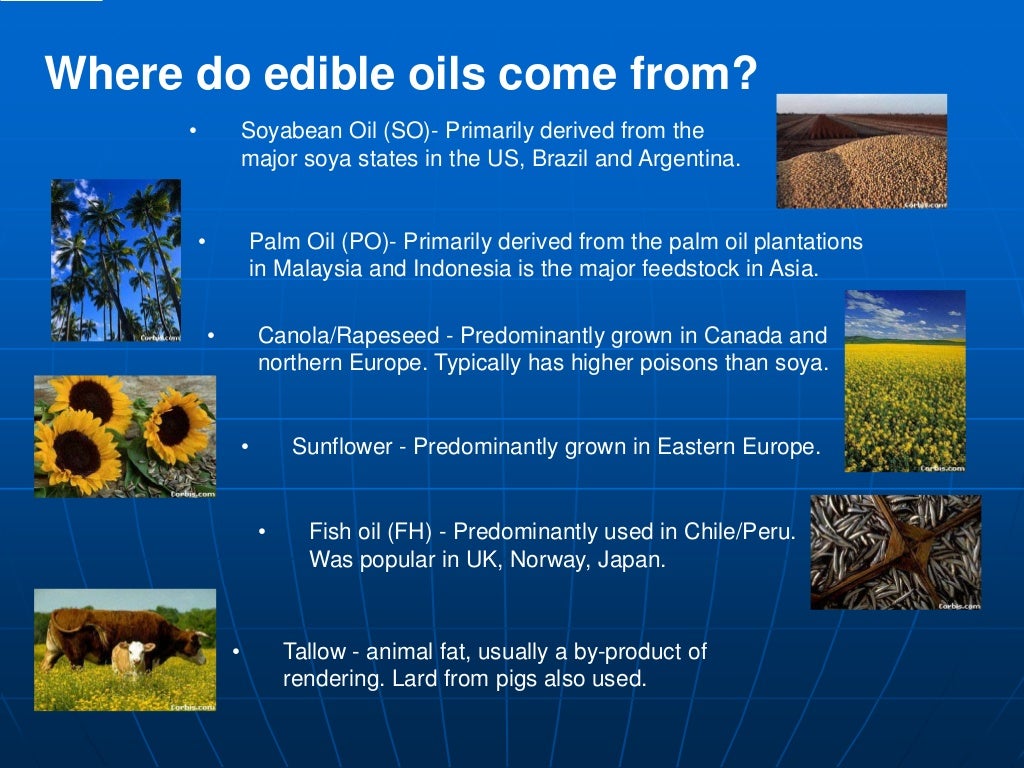 Hydrogenation of Edible Oils