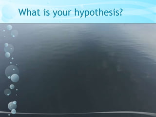 What is your hypothesis?