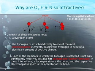    Why are O, F & N so attractive??In each of these molecules note:1.  A hydrogen atom! 2. the hydrogen  is attached directly to one of the most electronegative elements, causing the hydrogen to acquire a significant amount of positive charge.   3. Each of the elements to which the hydrogen is attached is not only significantly negative, but also has at least one "active" lone pair. In these interactions, a hydrogen atom is the donor, and the respective electronegative atom is the acceptor of the bond.Electronegativity ValuesF (4.0) O (3.5) N(3.0)