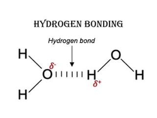 HYDROGEN BONDING
 
