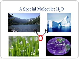 Hydrogen bonding pdf.pdf