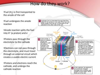 How do they work? 
•Fuel (H2) is first transported to 
the anode of the cell 
•Fuel undergoes the anode 
reaction 
•Anode reaction splits the fuel 
into H+ (a proton) and e- 
•Protons pass through the 
electrolyte to the cathode 
•Electrons can not pass through 
the electrolyte, and must travel 
through an external circuit which 
creates a usable electric current 
•Protons and electrons reach the 
cathode, and undergo the 
cathode reaction 
 