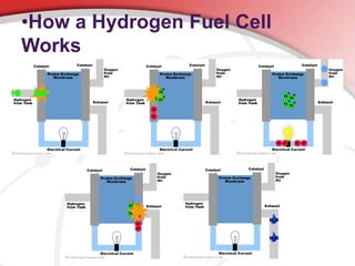 •How a Hydrogen Fuel Cell 
Works 
 