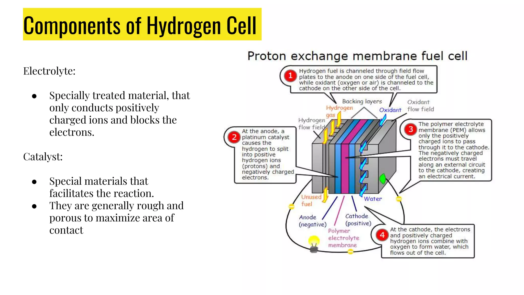 Hydrogen fuel cell PPT