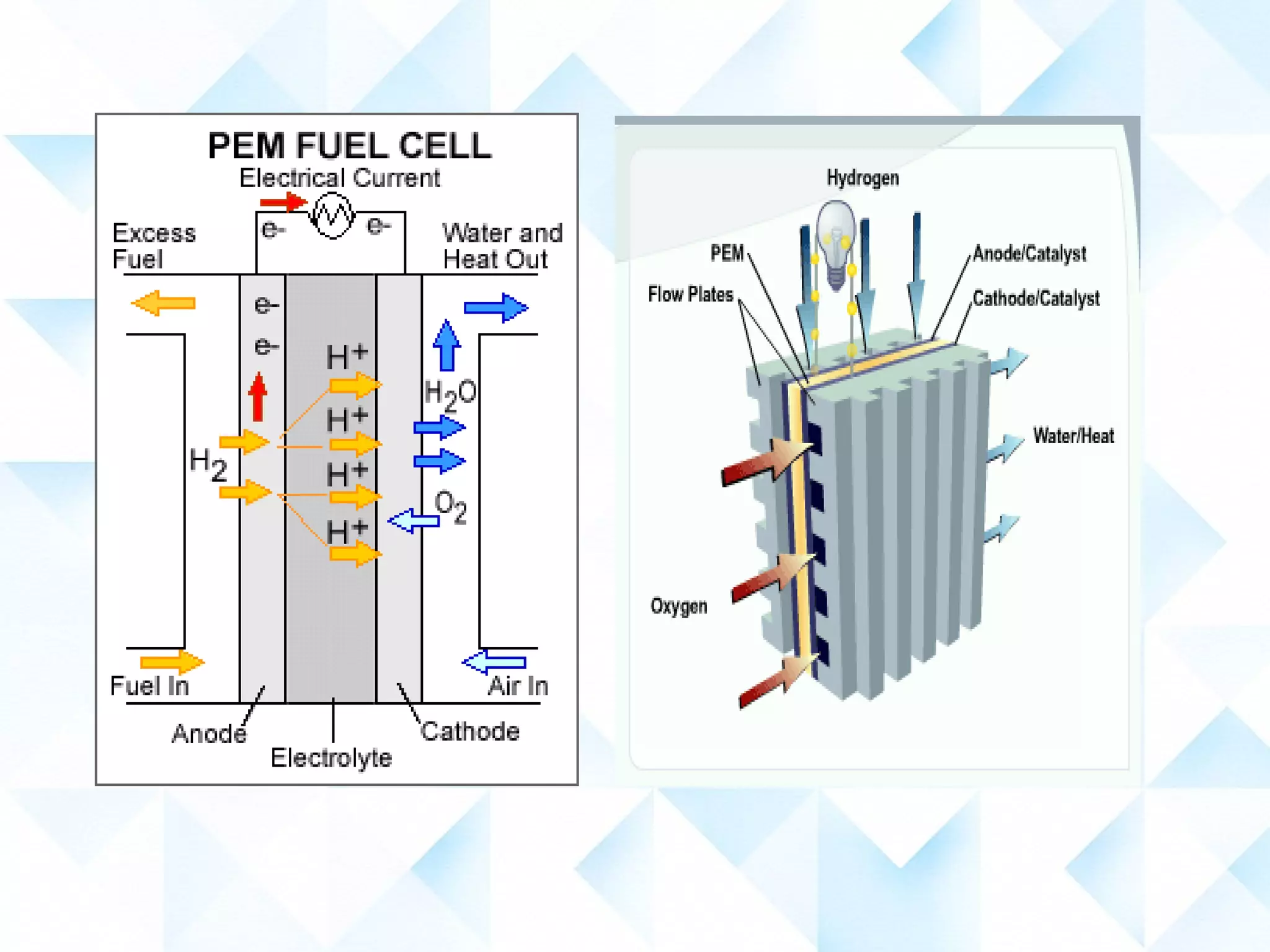 Hydrogen Fuel Cells Ppt